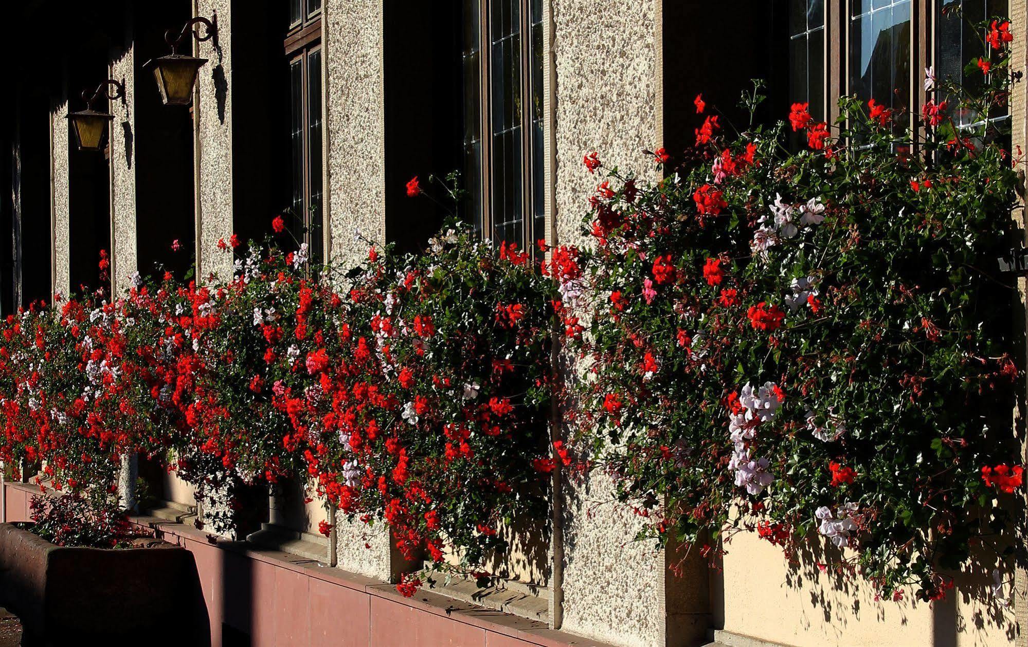 Hotel Au Nid De Cigognes Ostheim Kültér fotó